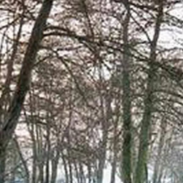 aire-naturelle-de-camping-a-la-ferme-etrigny-mjx6m