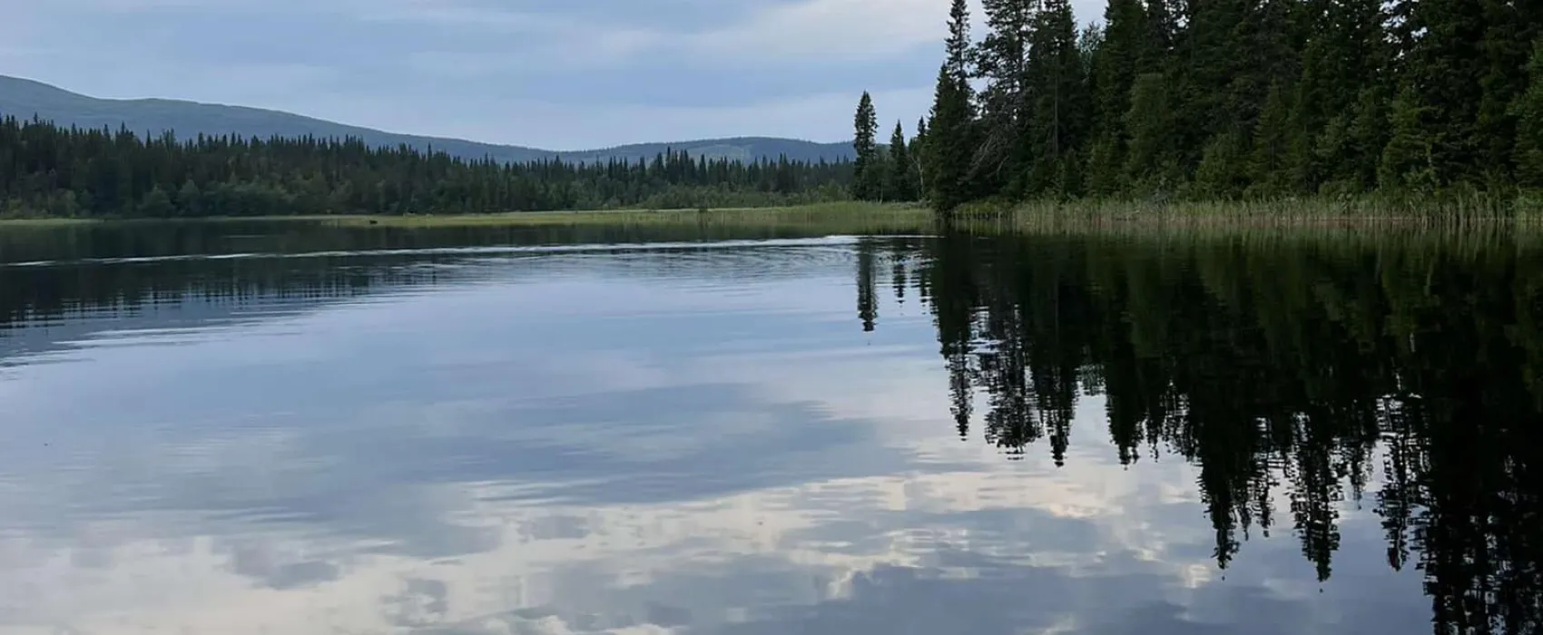 Rötvikens Camping