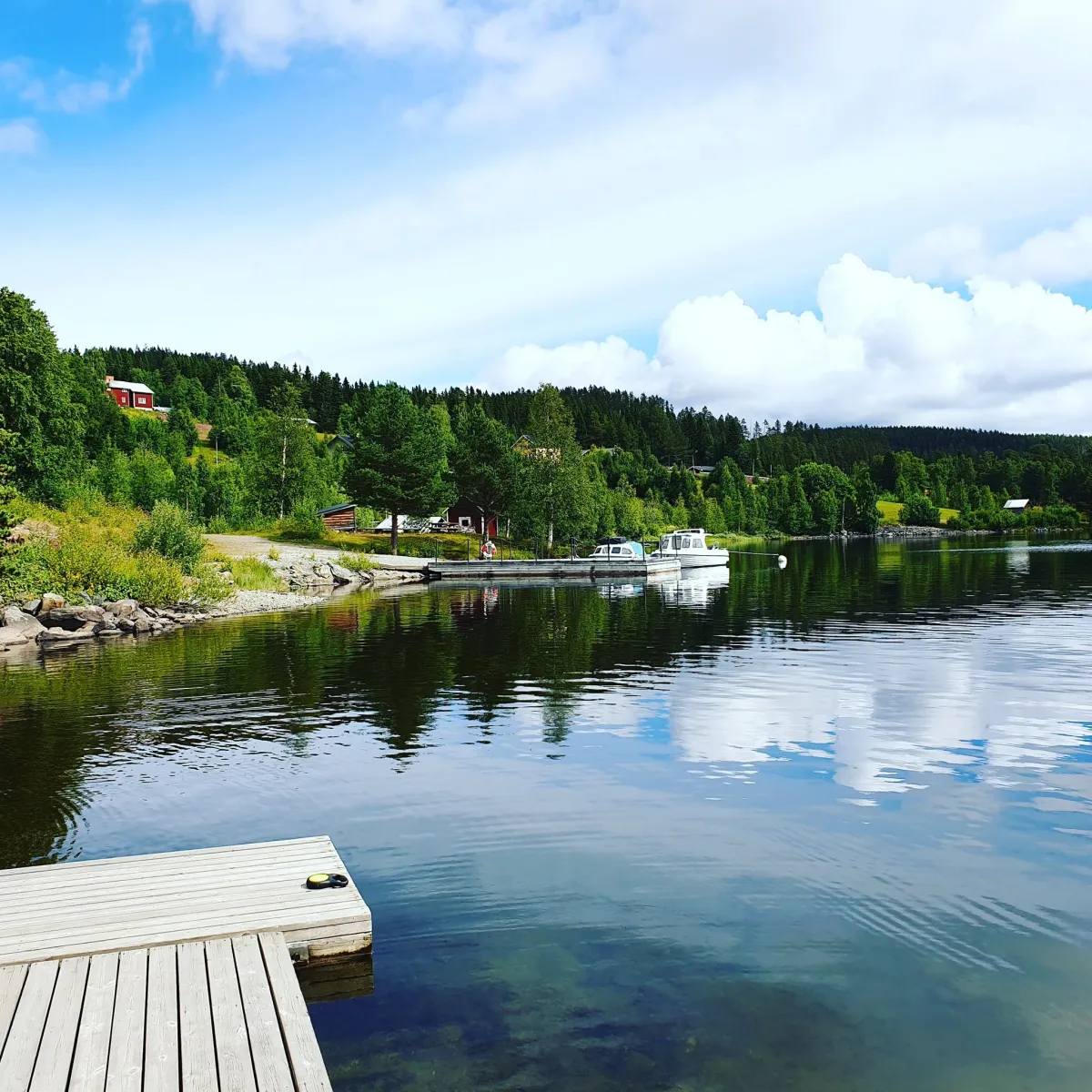 rotvikens-camping-rotviken-ozlrd