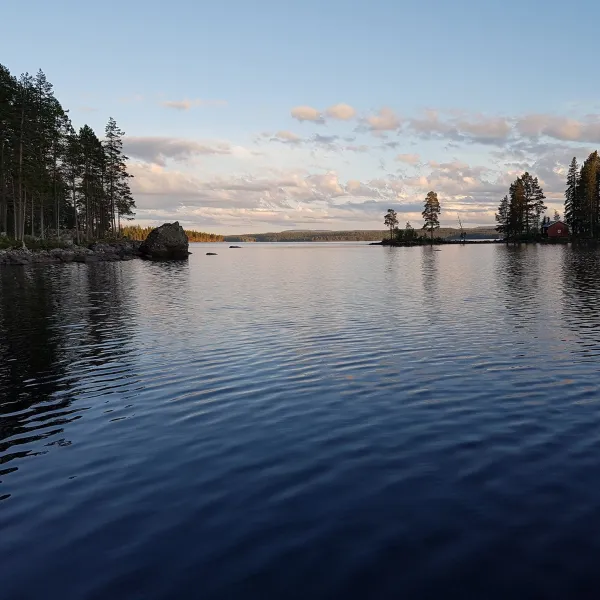 rotvikens-camping-rotviken-zyhja