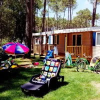 siblu-les-dunes-de-contis-st-julien-en-born-landes-dhsbj
