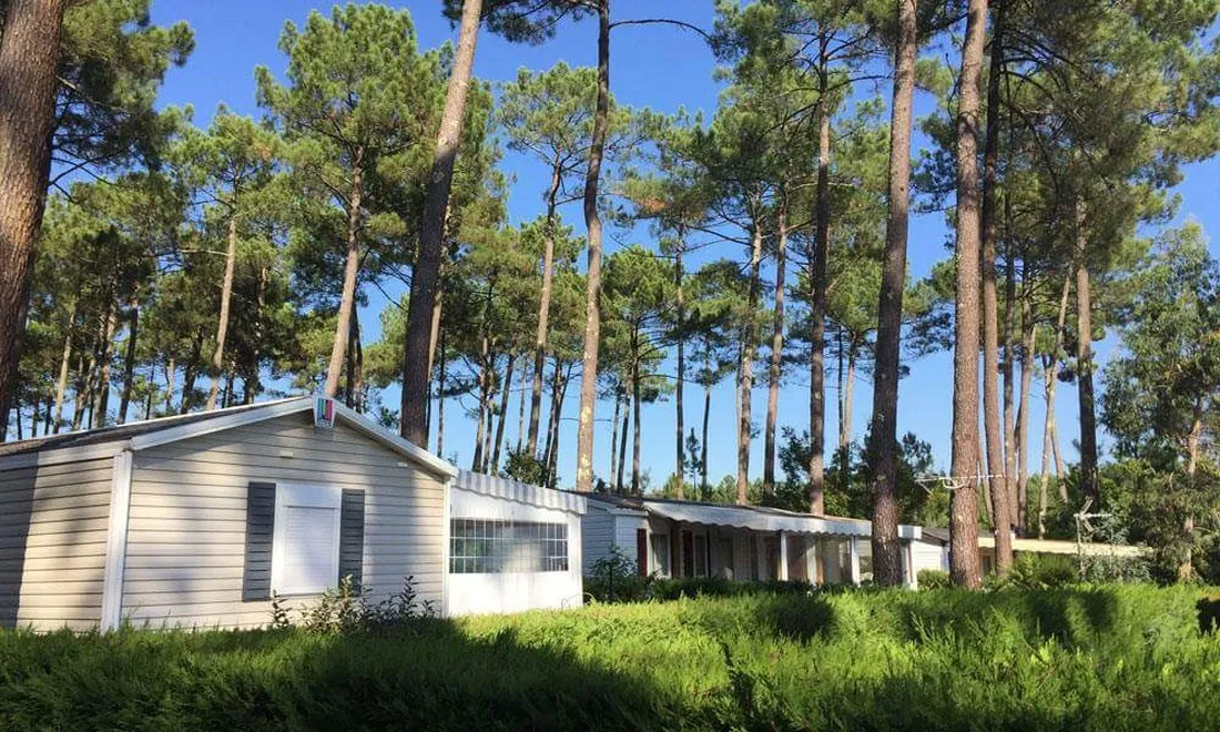 siblu-les-dunes-de-contis-st-julien-en-born-landes-ms77v