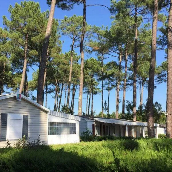 siblu-les-dunes-de-contis-st-julien-en-born-landes-ms77v