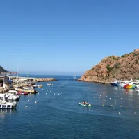 les-oliviers-porto-szi18