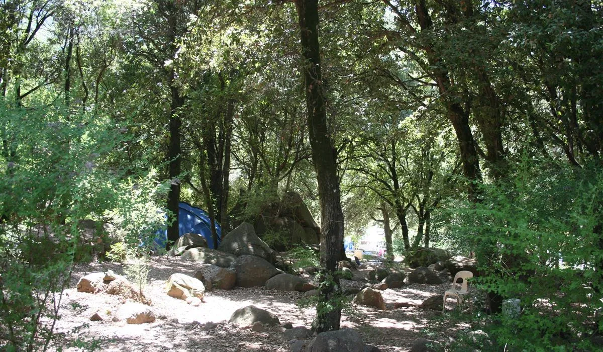 les-oliviers-porto-tbec5