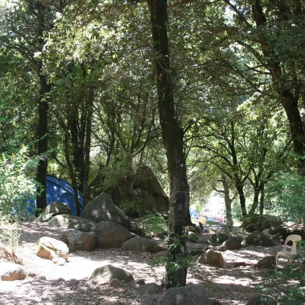 les-oliviers-porto-tbec5