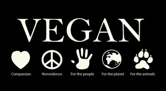 peace-of-eden-vegan-forest-retreat-e2sjl