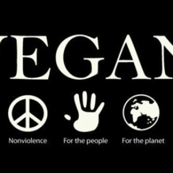 peace-of-eden-vegan-forest-retreat-e2sjl