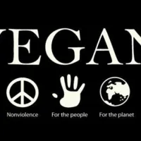 peace-of-eden-vegan-forest-retreat-e2sjl