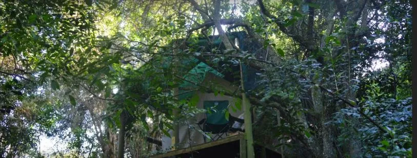 peace-of-eden-vegan-forest-retreat-e78xk