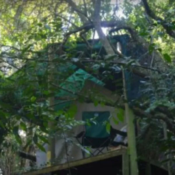 peace-of-eden-vegan-forest-retreat-e78xk