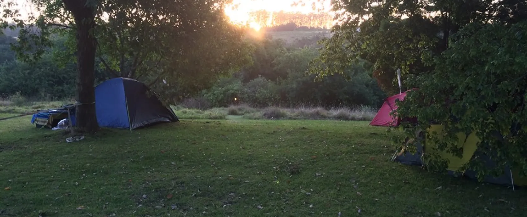 Peace of Eden 