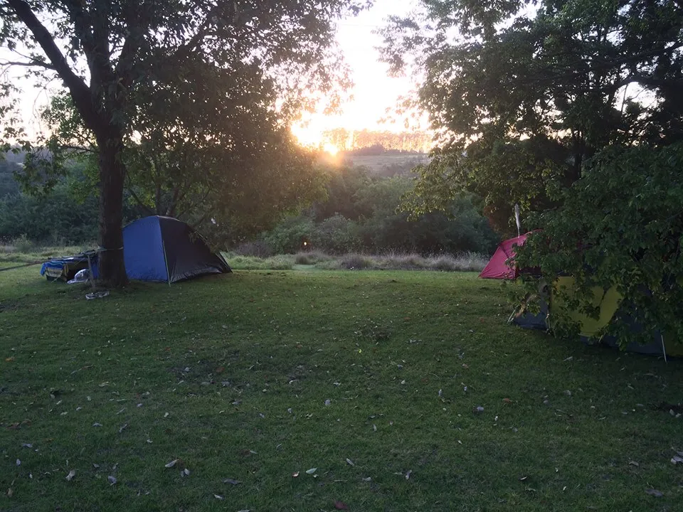 peace-of-eden-vegan-forest-retreat-fdpxt