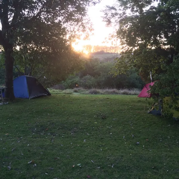 peace-of-eden-vegan-forest-retreat-fdpxt