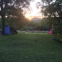 peace-of-eden-vegan-forest-retreat-fdpxt