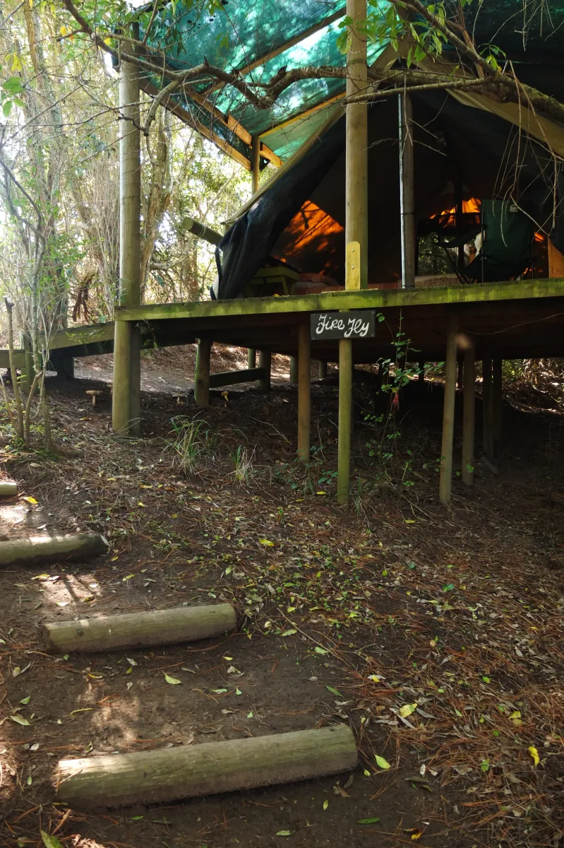 peace-of-eden-vegan-forest-retreat-pijtq