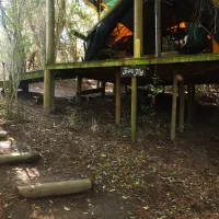 peace-of-eden-vegan-forest-retreat-pijtq