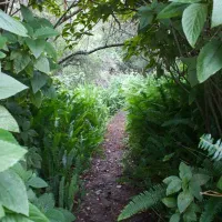 peace-of-eden-vegan-forest-retreat-w5fbe