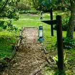 peace-of-eden-vegan-forest-retreat-y8df8