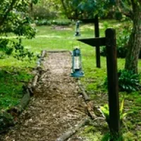 peace-of-eden-vegan-forest-retreat-y8df8