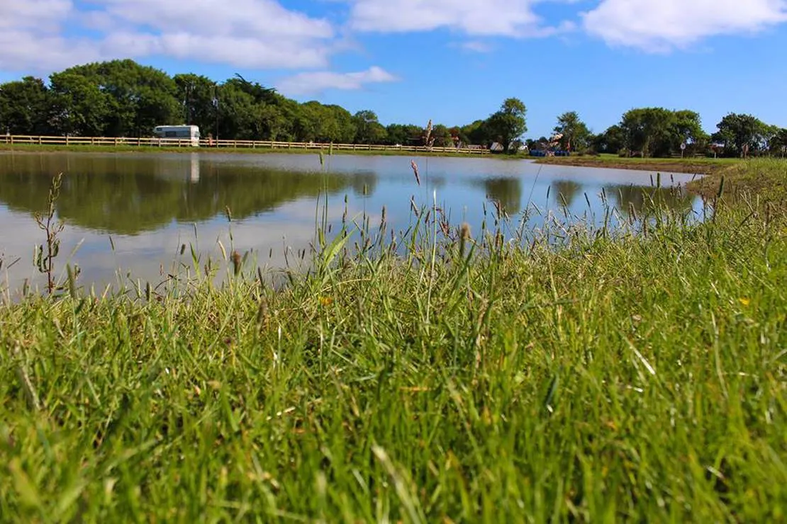 international-outdoor-activity-centre-sixacre-tagoat-co-wexford-sh5p5