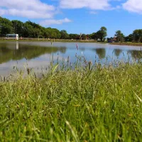 international-outdoor-activity-centre-sixacre-tagoat-co-wexford-sh5p5
