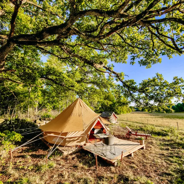 bjorkholmens-glamping-veddige-y7n9s