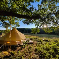 Björkholmens Glamping