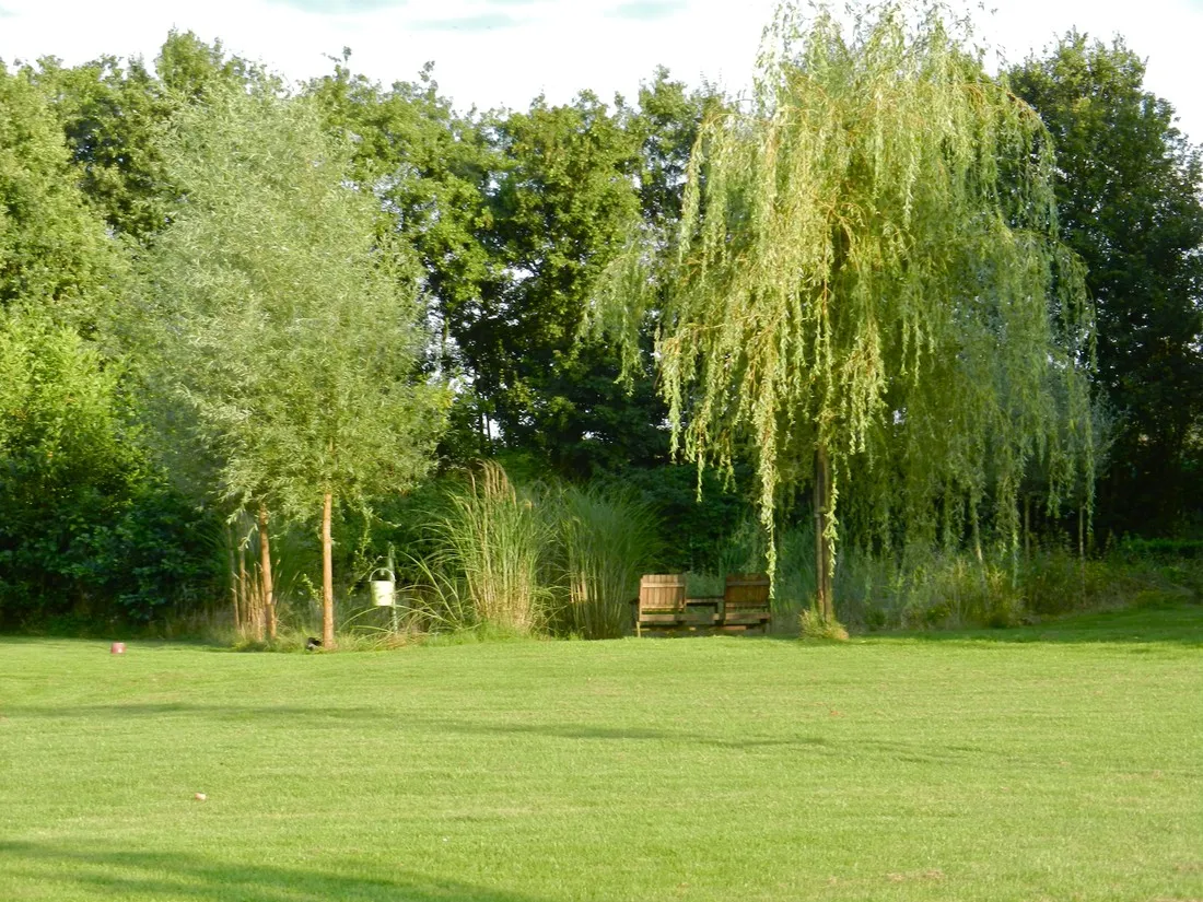 het-heilig-boontje-koffie-someren-zakna