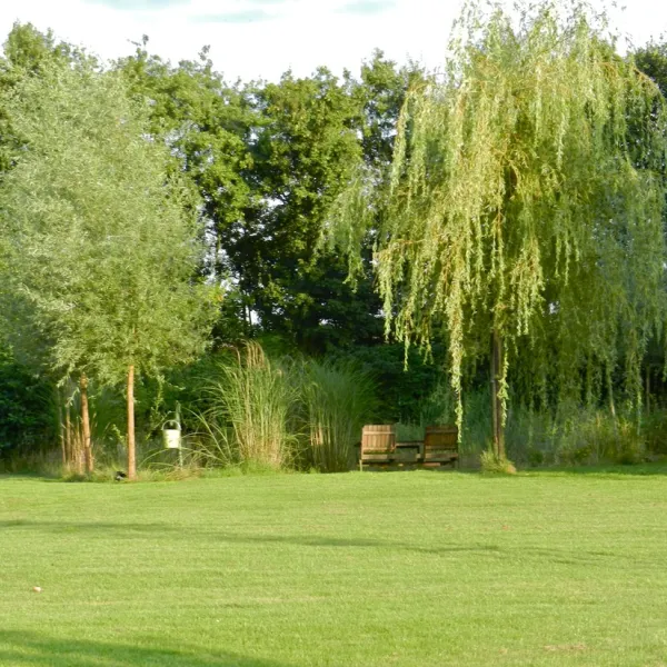 het-heilig-boontje-koffie-someren-zakna