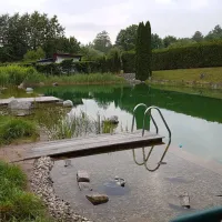 ferienhotel-wolfsmuhle-nordhausen-ot-rodishain-dt4x5