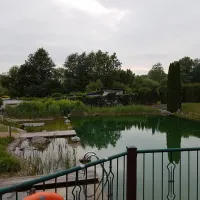 ferienhotel-wolfsmuhle-nordhausen-ot-rodishain-zp4lo