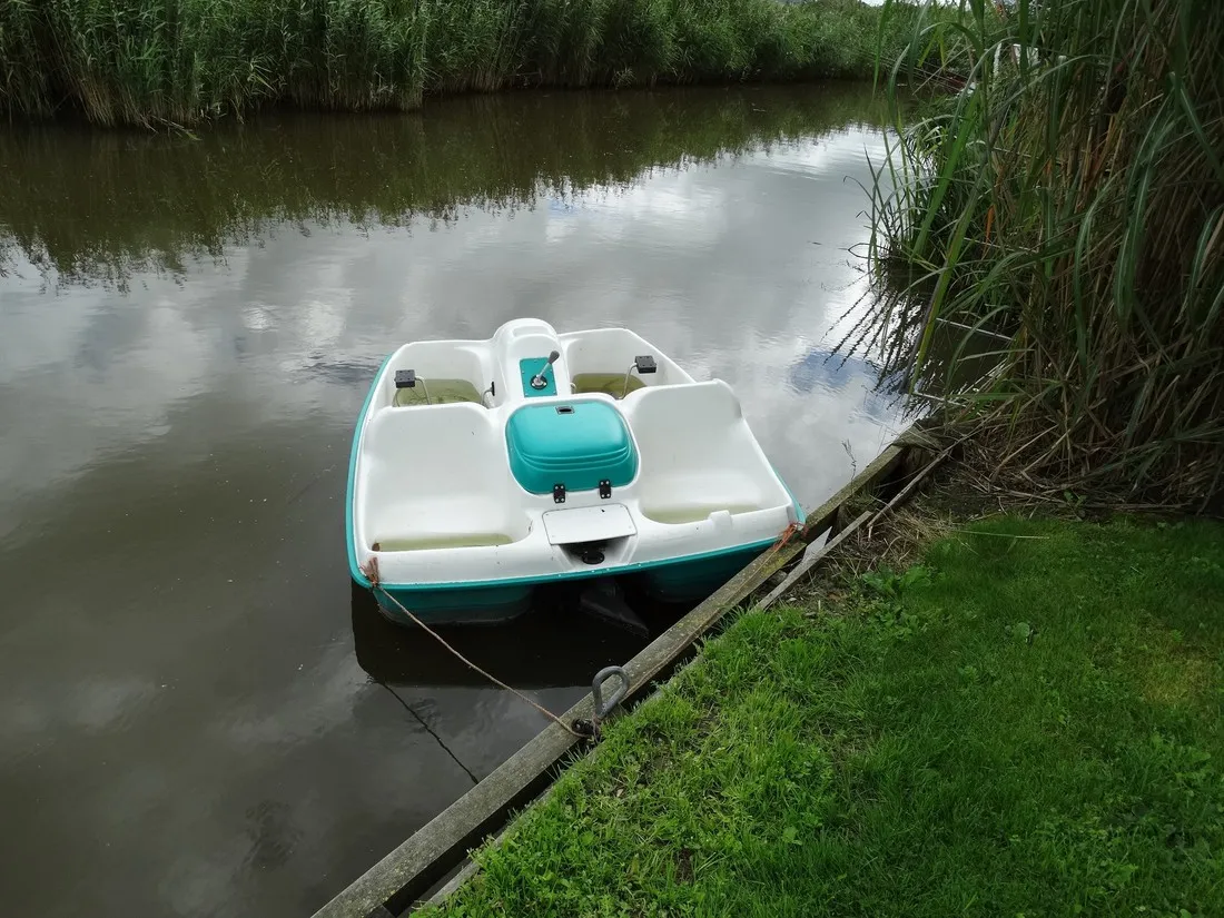 mini-camping-vergezicht-wanswerd-uxr0y