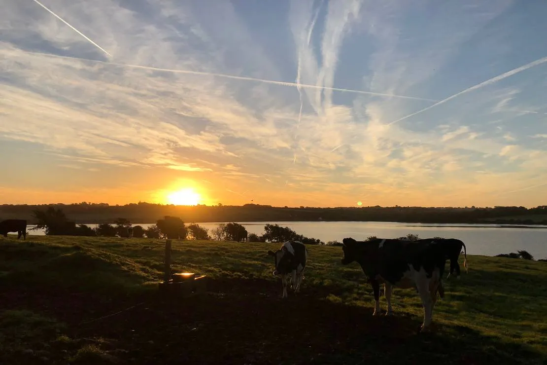 roches-campsite-clonmines-wellingtonbridge-cxbuq