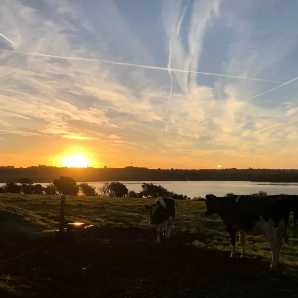 roches-campsite-clonmines-wellingtonbridge-cxbuq