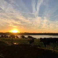 roches-campsite-clonmines-wellingtonbridge-cxbuq