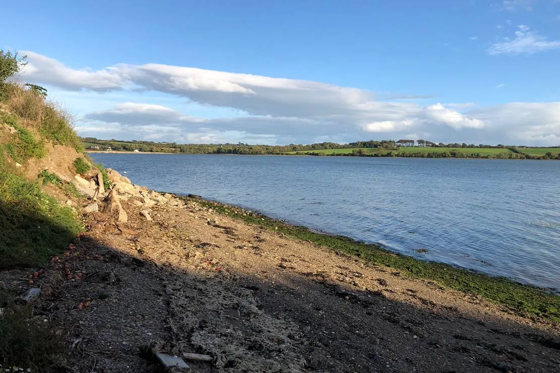 roches-campsite-clonmines-wellingtonbridge-tjlim
