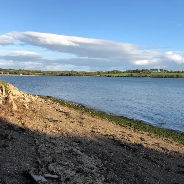 roches-campsite-clonmines-wellingtonbridge-tjlim