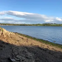 roches-campsite-clonmines-wellingtonbridge-tjlim