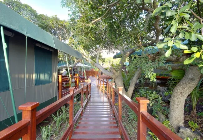 urban-glamping-st-lucia-8e9bc