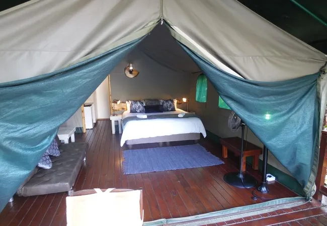 urban-glamping-st-lucia-ai0gh