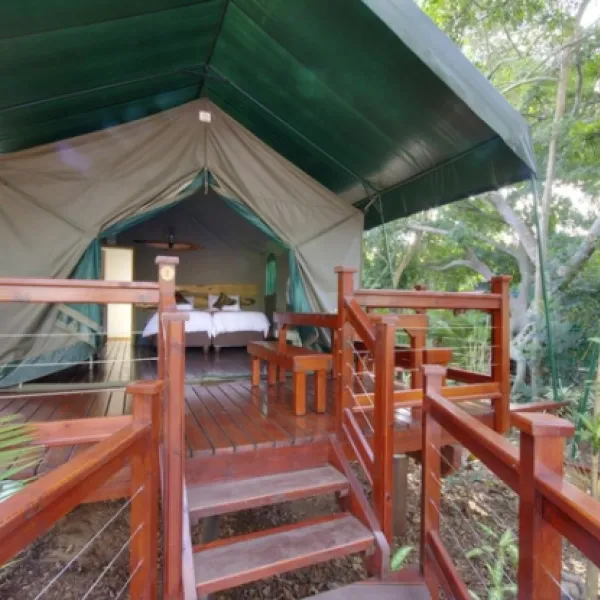 Urban Glamping