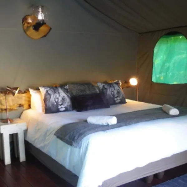 Urban Glamping