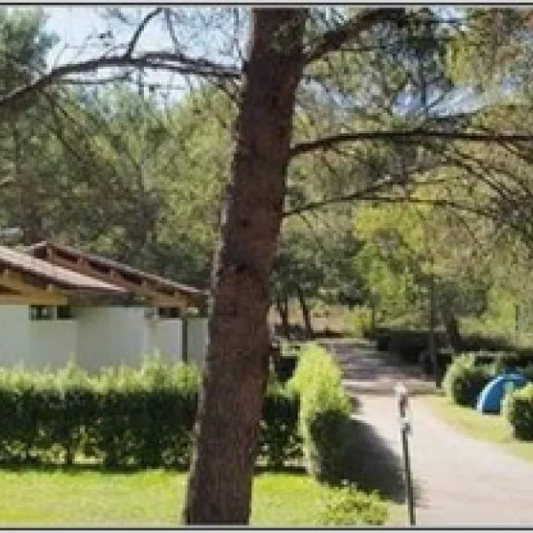 huttopia-fontvieille-provence-fontvieille-vxaeb
