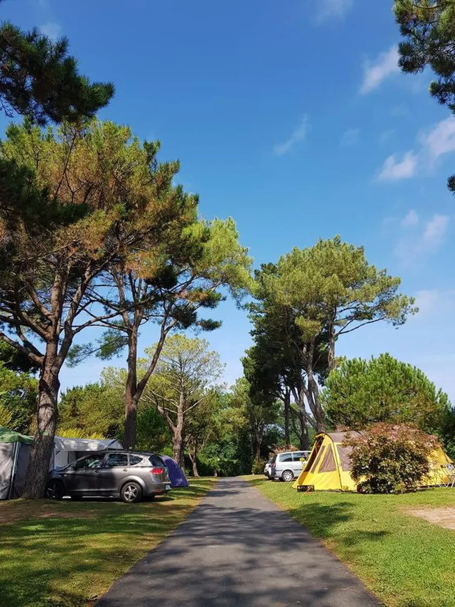 itsas-mendi-st-jean-de-luz-hke7t
