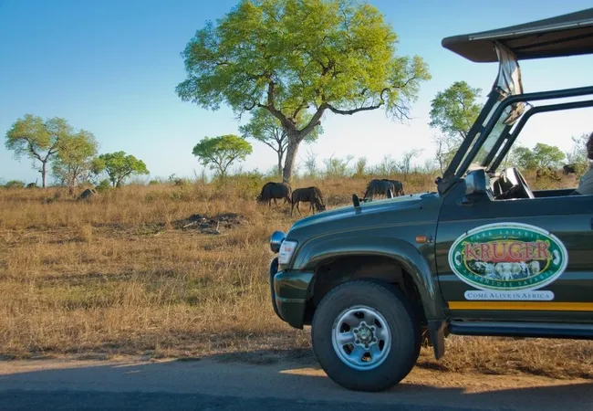 kruger-adventure-lodge-hazyview-panorama-route-m1gdc