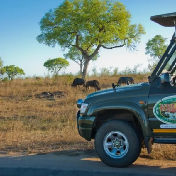 kruger-adventure-lodge-hazyview-panorama-route-m1gdc