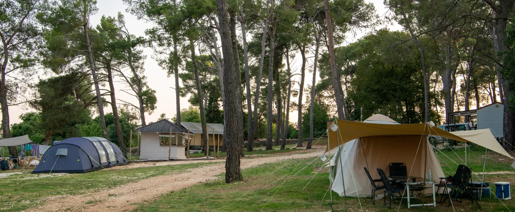 Camp Dvor
