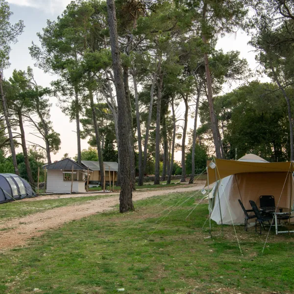 camp-dvor-barban-9mhel
