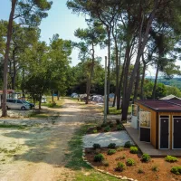 camp-dvor-barban-9uczw